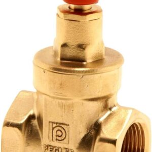 Gate Valve 1" Pegler